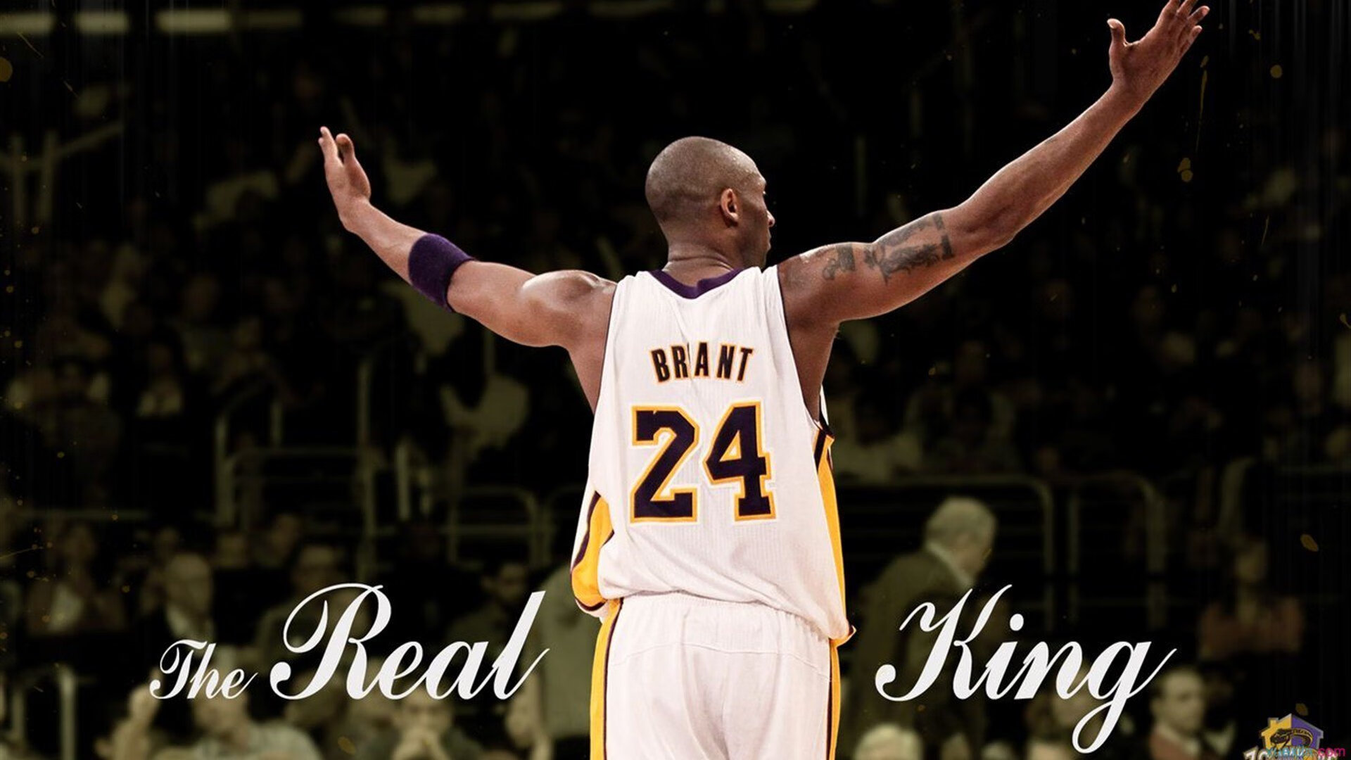 冠军球队主帅战术讲座吸引众多教练和球迷参与，球赛冠军